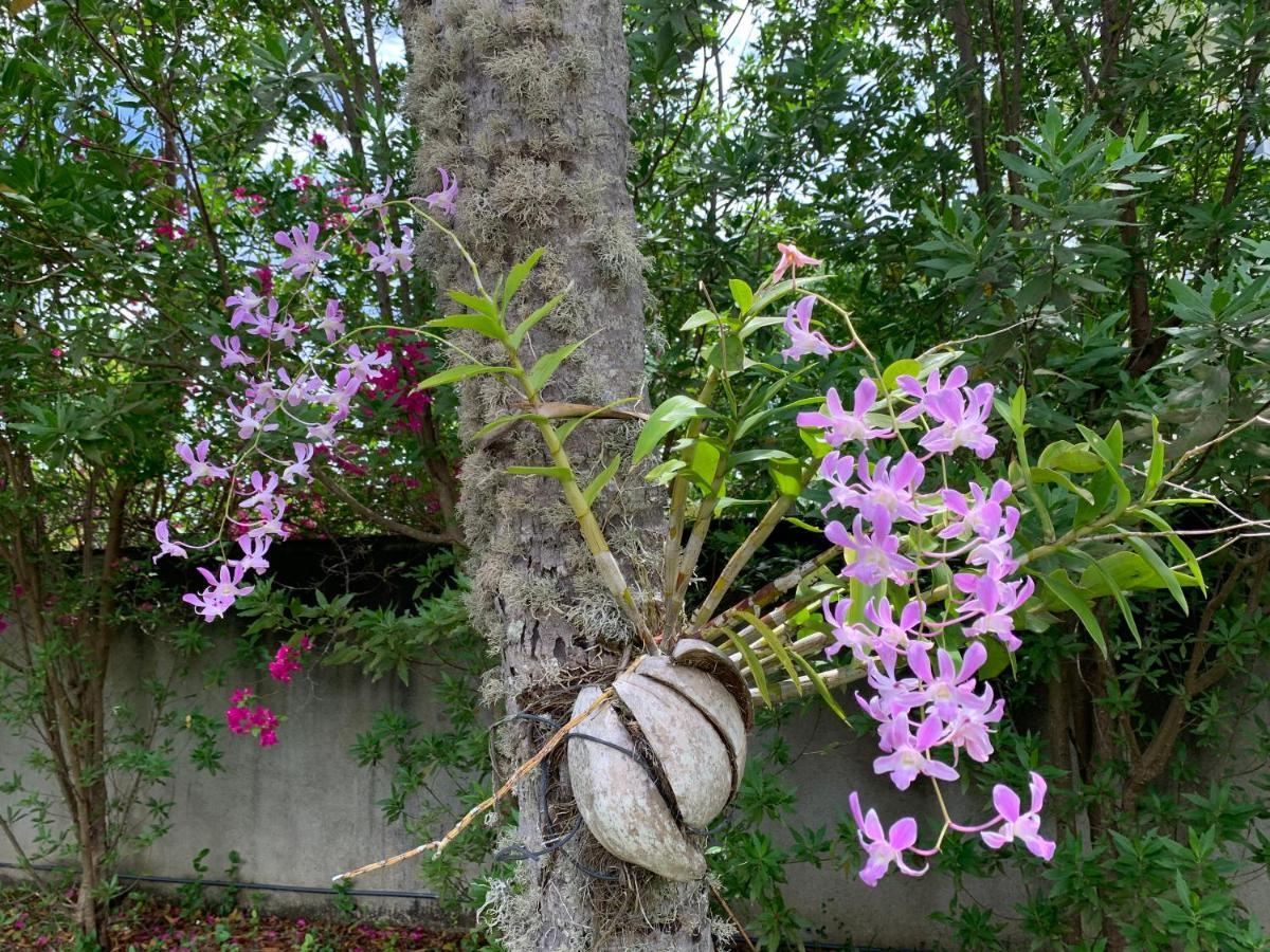 Stuart House Tangalle Bagian luar foto